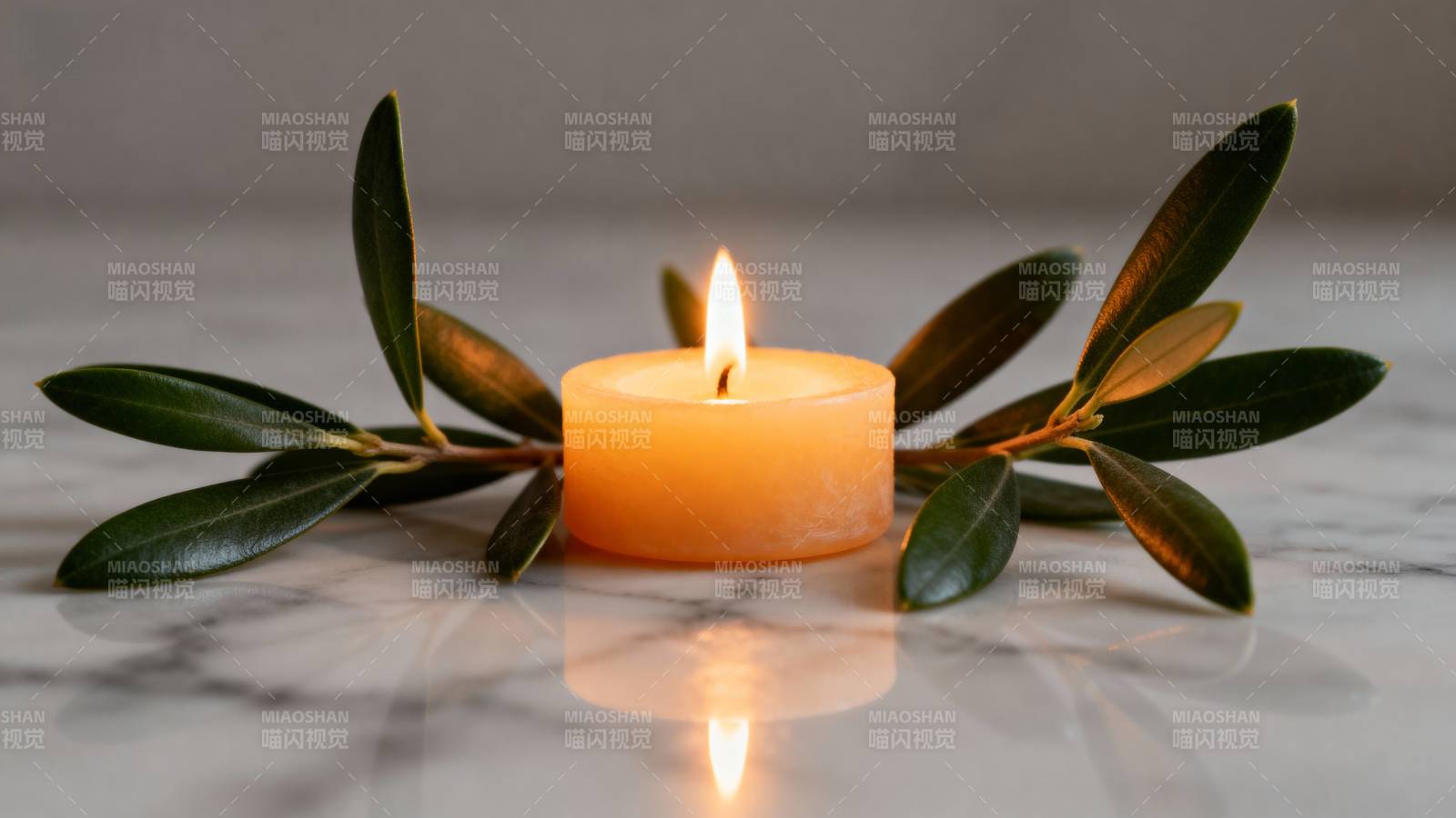 烛光绿叶静谧美图片