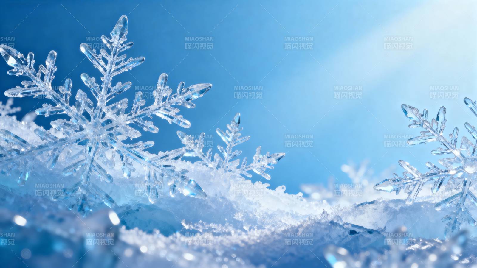 晶莹雪花映蓝天图片