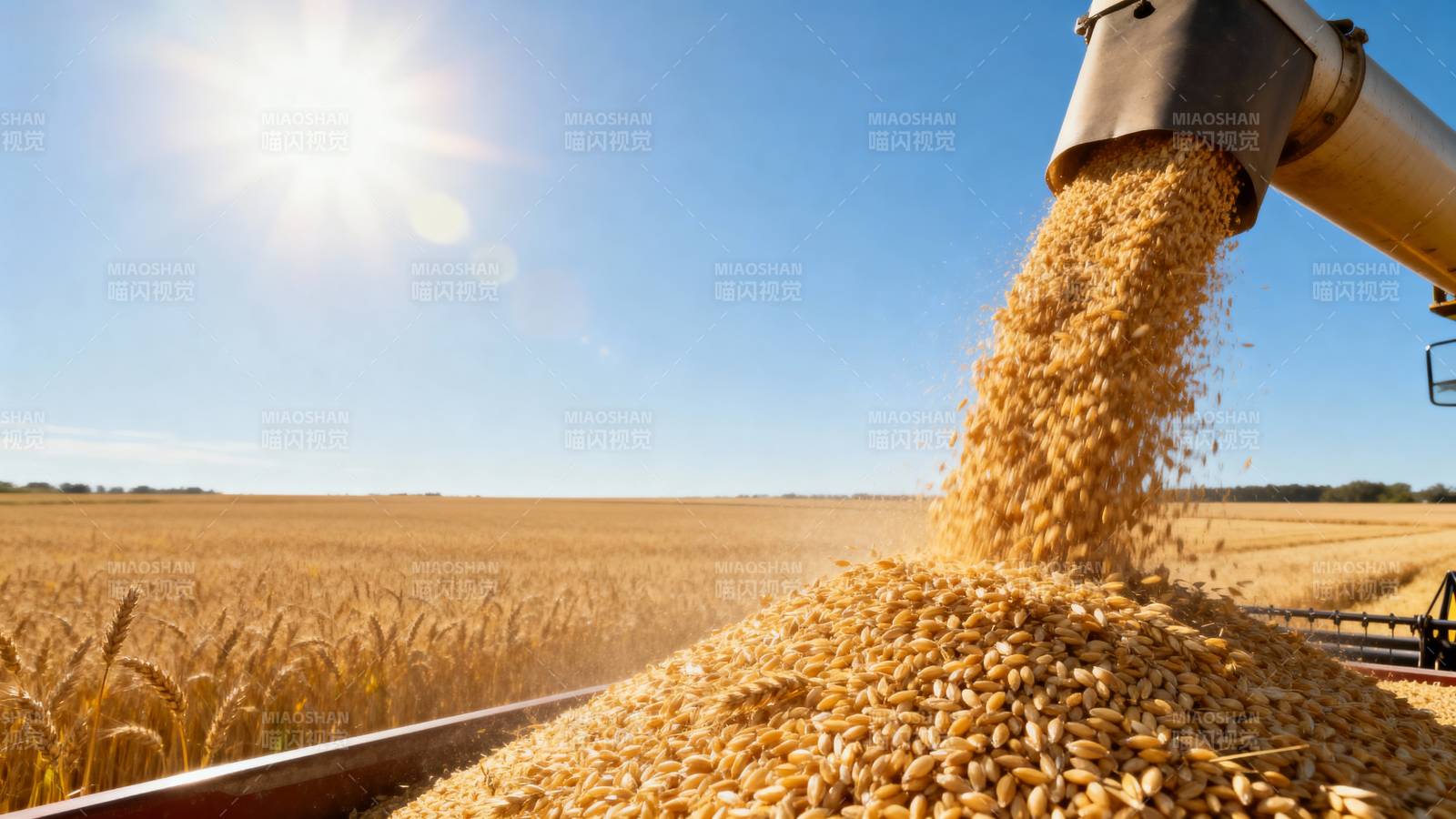 金秋丰收景象图片