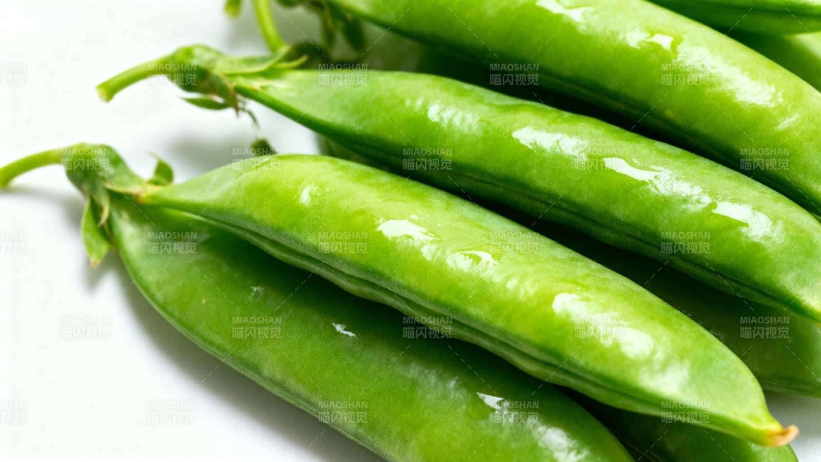 新鲜青豆荚图片