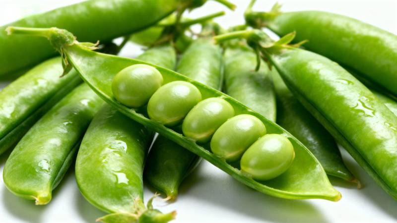 新鲜青豆荚图片