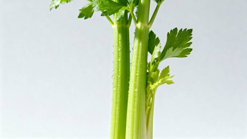 新鲜芹菜特写图片