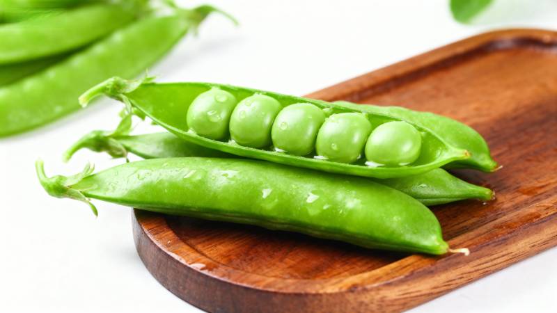 新鲜青豆荚图片