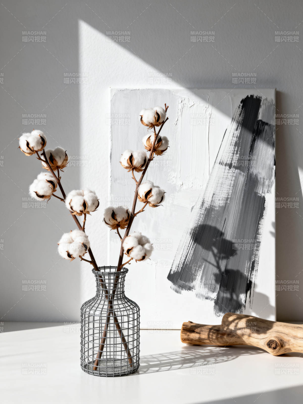 棉枝静物图片