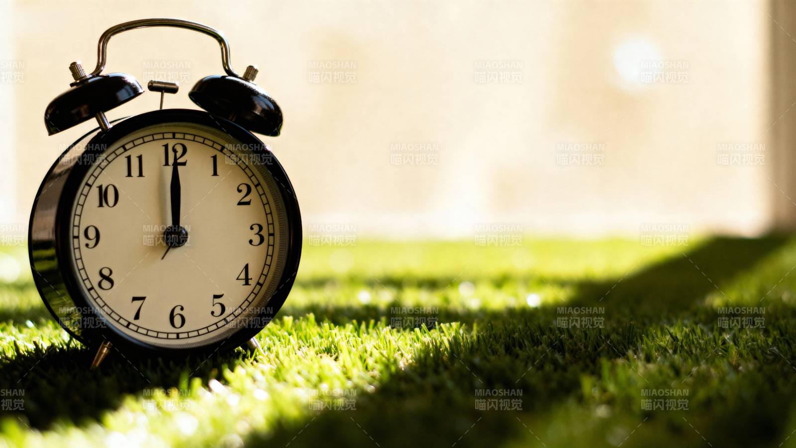 草地上闹钟静置图片