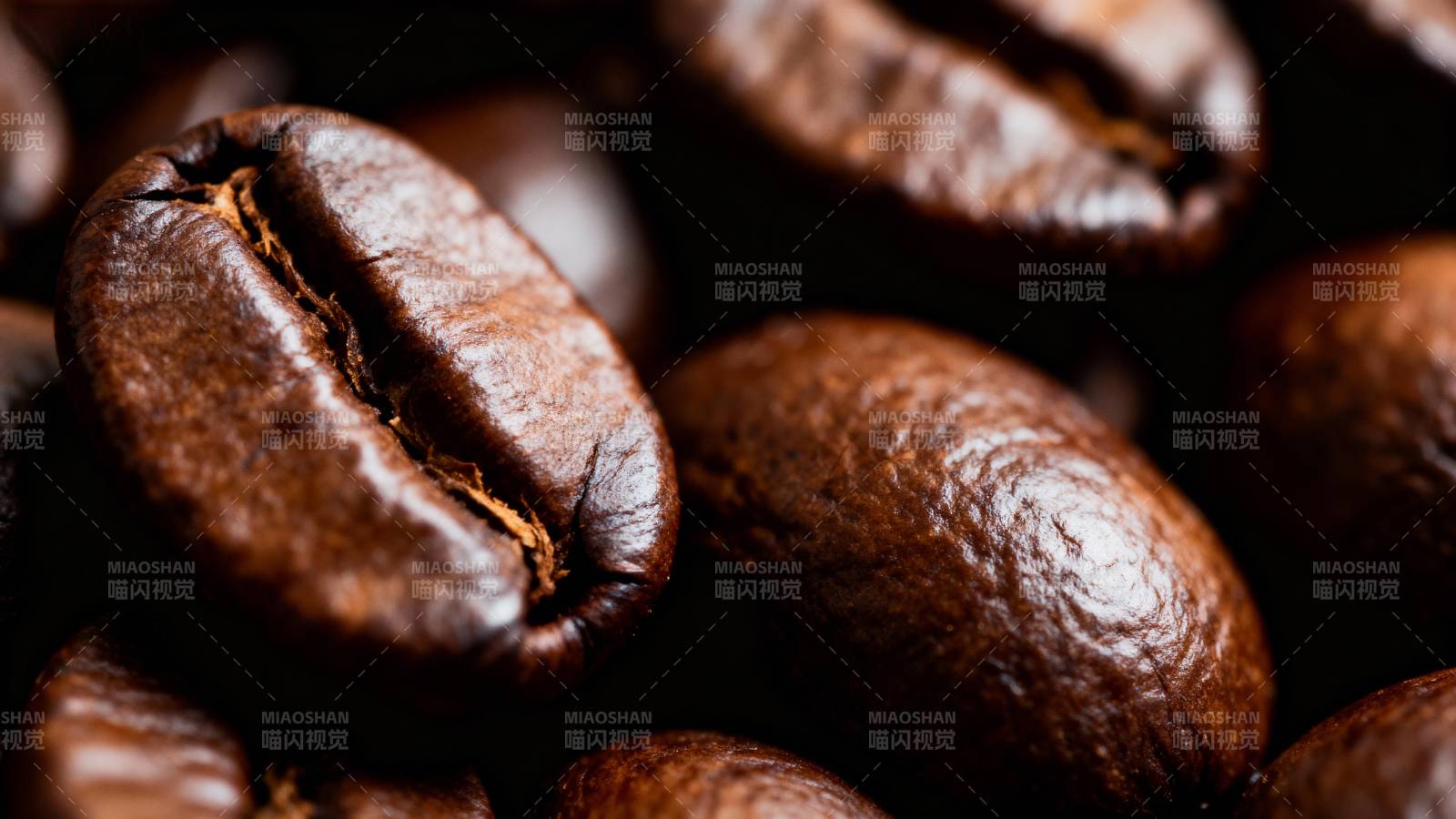 咖啡豆特写图片