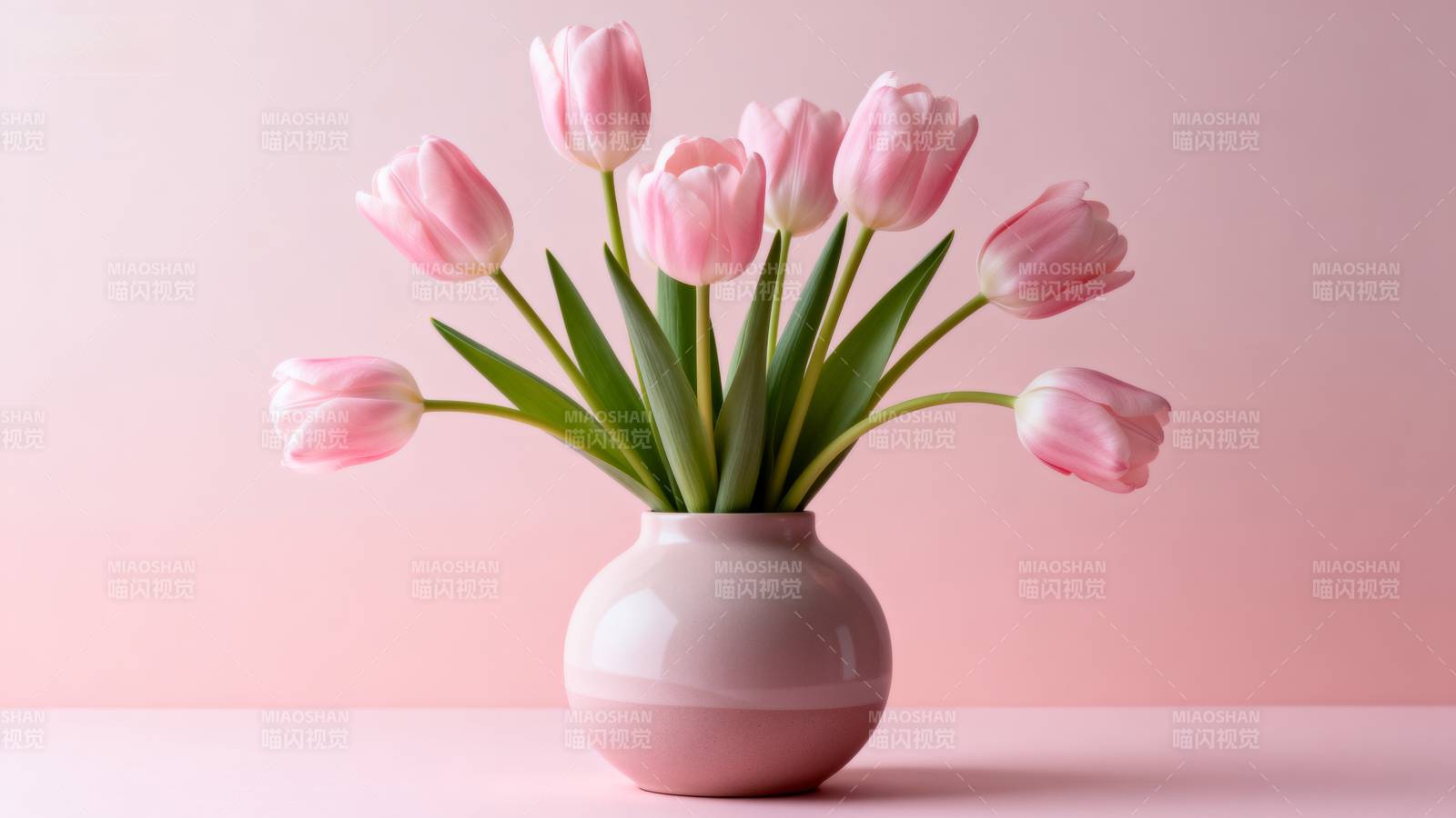 粉郁金香静谧绽放图片