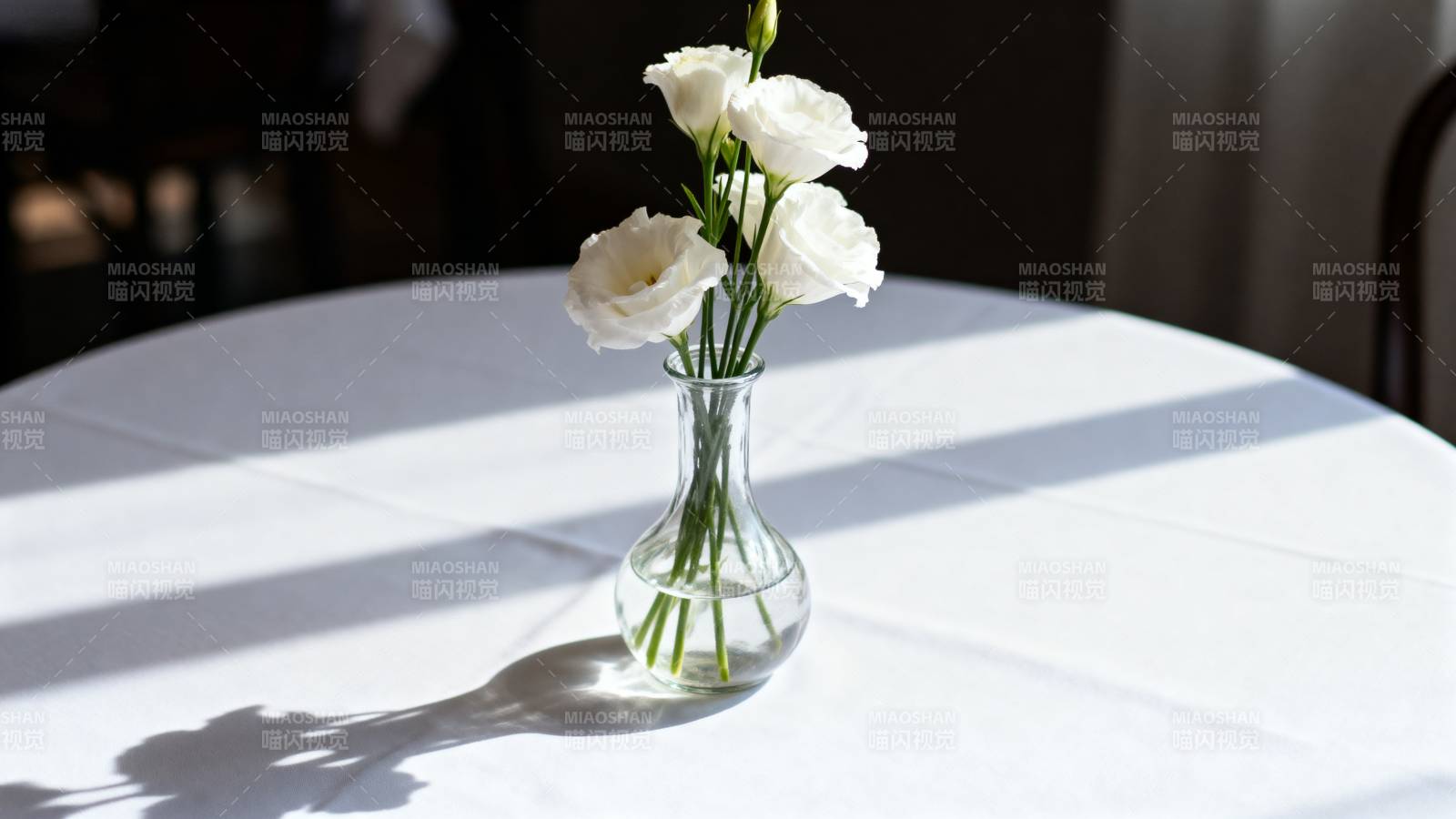 白花静置桌心图片