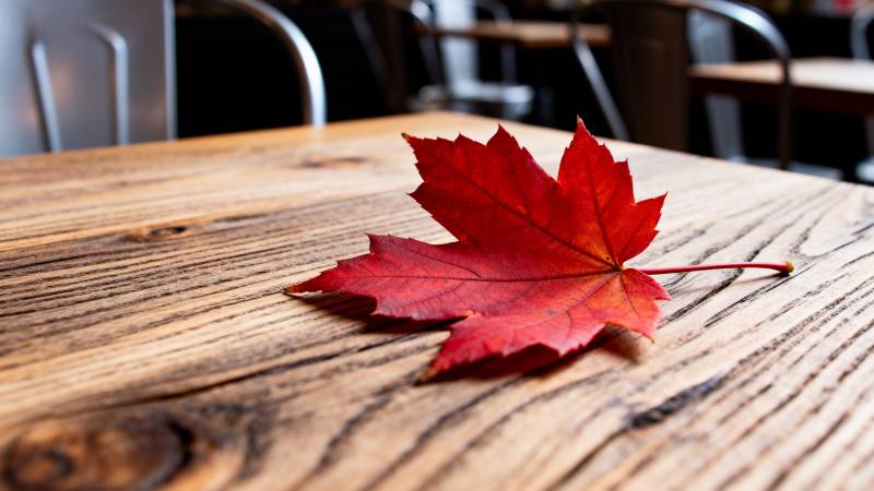 秋叶静卧木桌图片