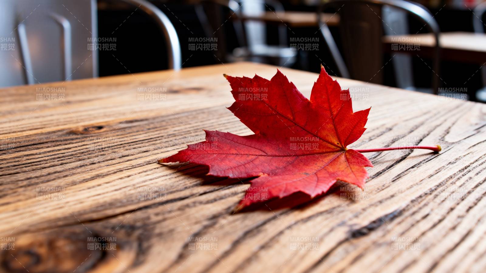 秋叶静卧木桌图片