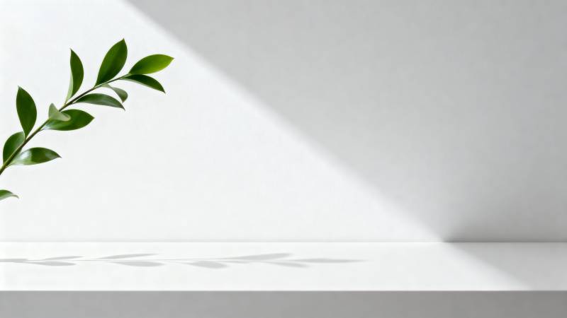 绿叶光影静谧角落图片