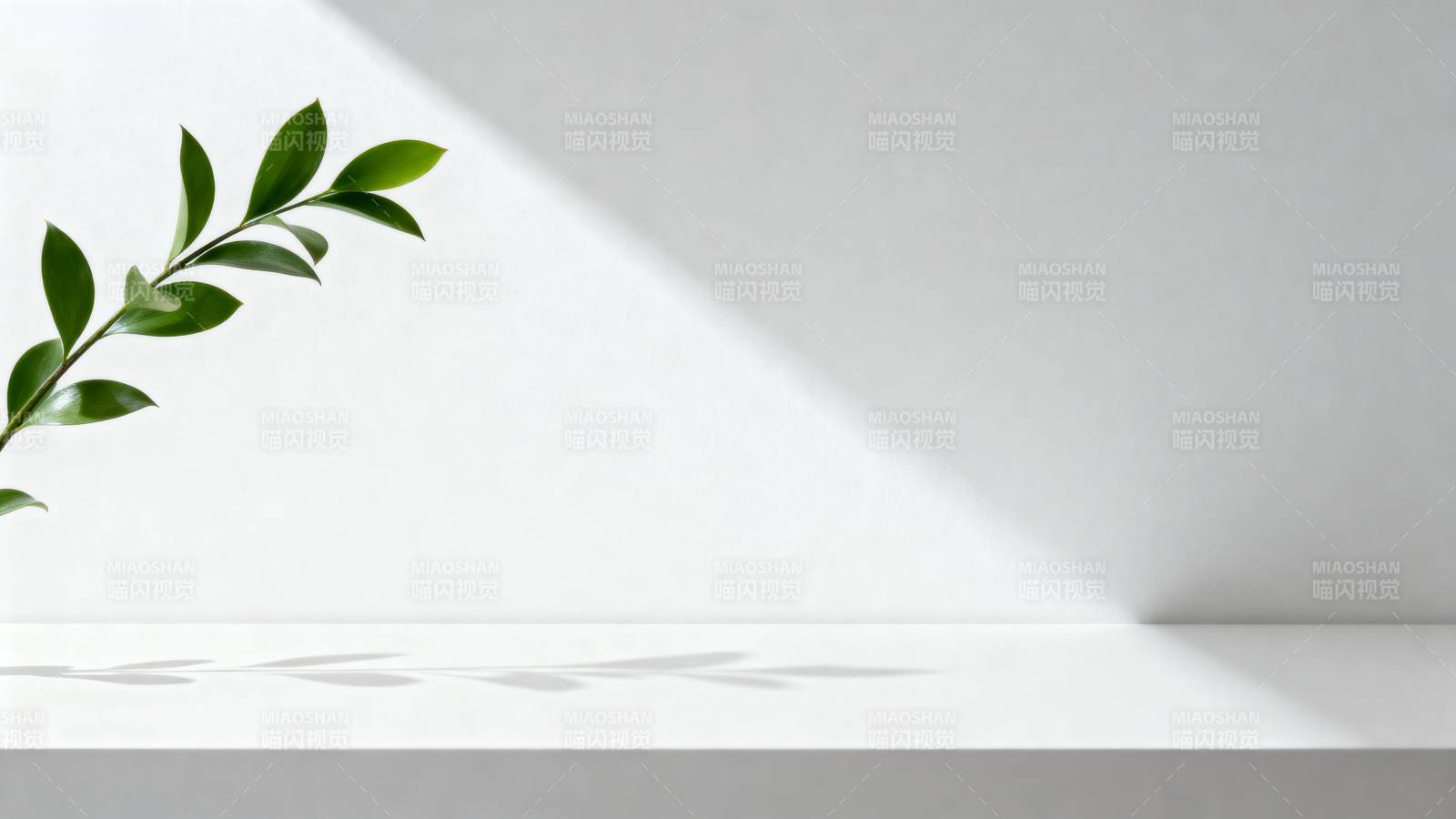 绿叶光影静谧角落图片