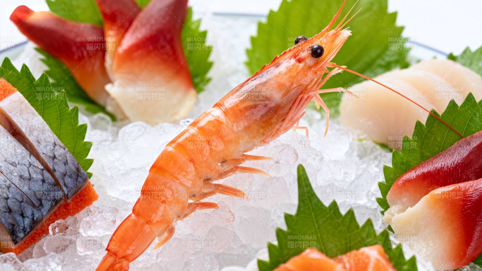 新鲜刺身拼盘图片