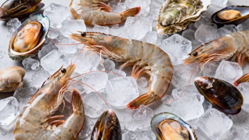 冰鲜海鲜拼盘图片