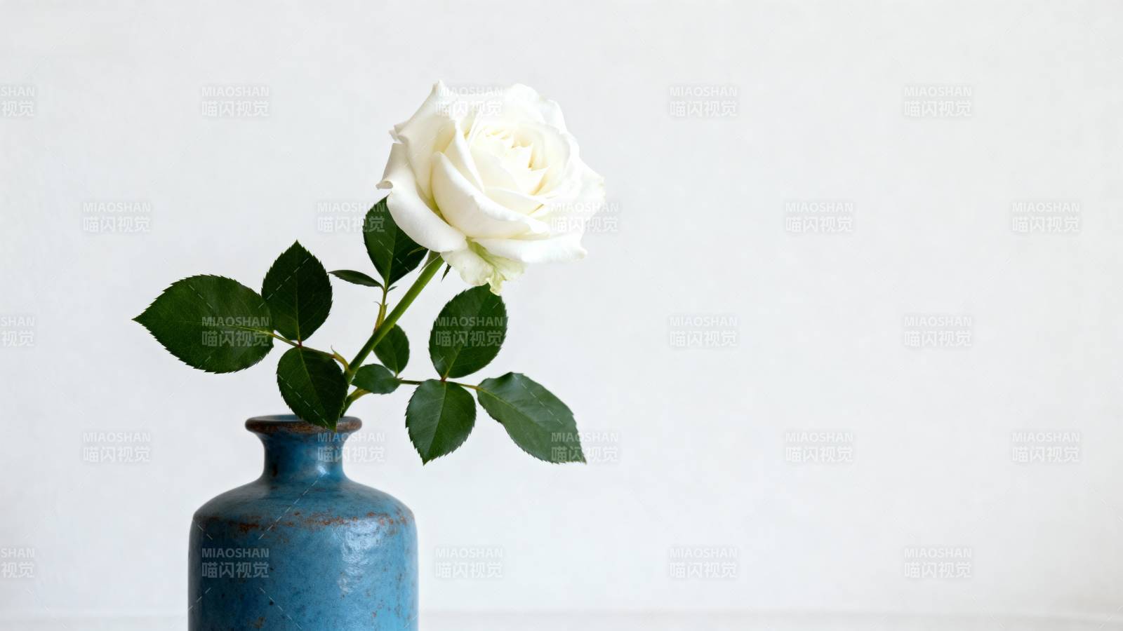 白玫瑰静置蓝瓶中图片