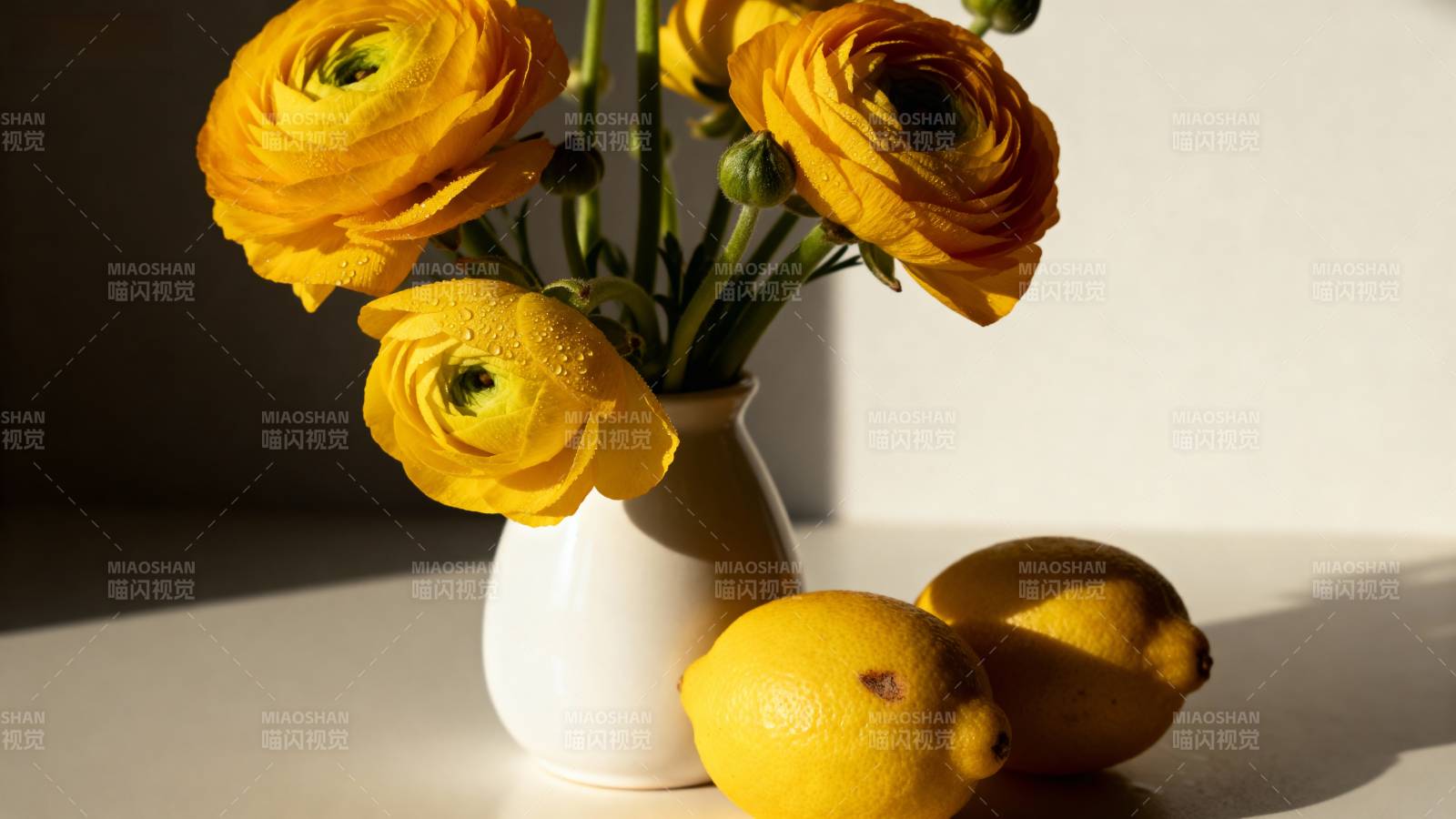 黄花柠檬静物图图片