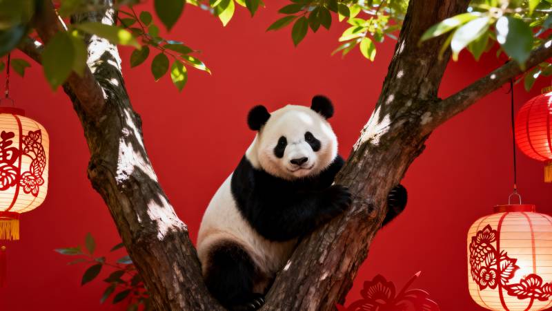 熊猫树上嬉戏图片