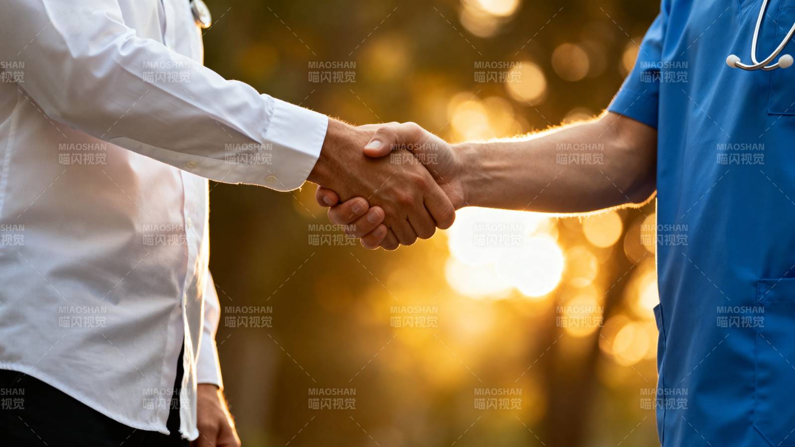 医患携手 共筑健康图片