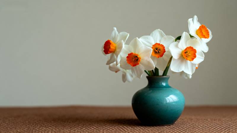 水仙花瓶静物图片