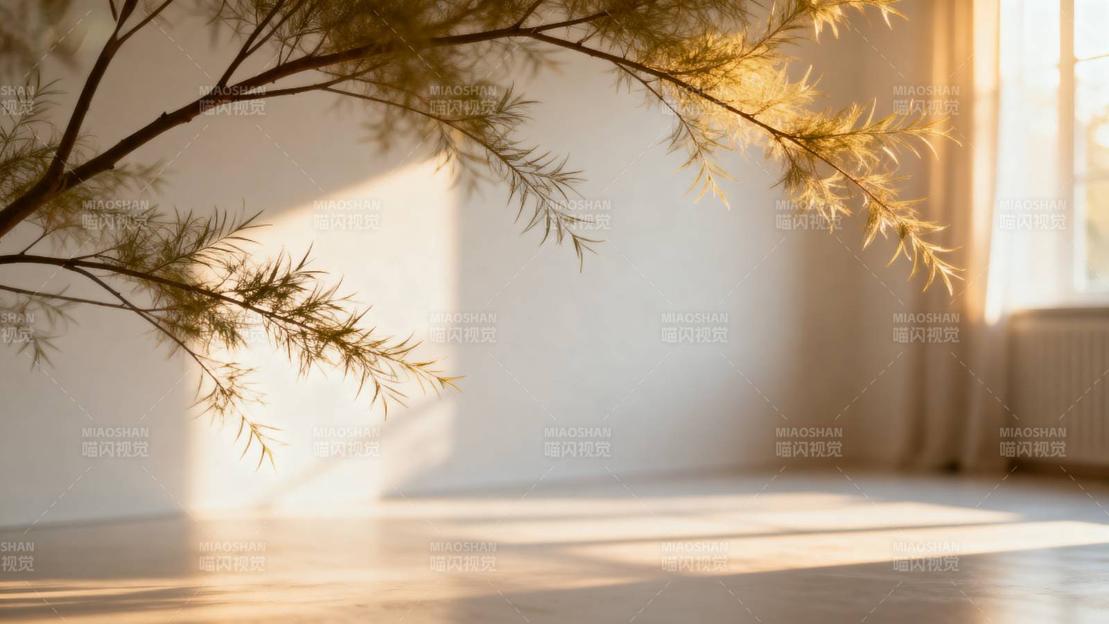 阳光下的枝影图片