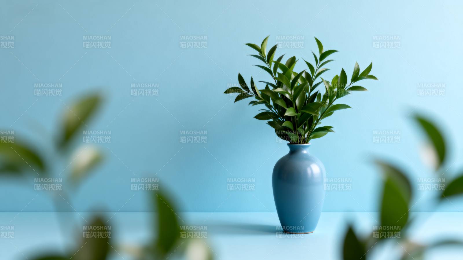 蓝瓶绿植静谧景图片