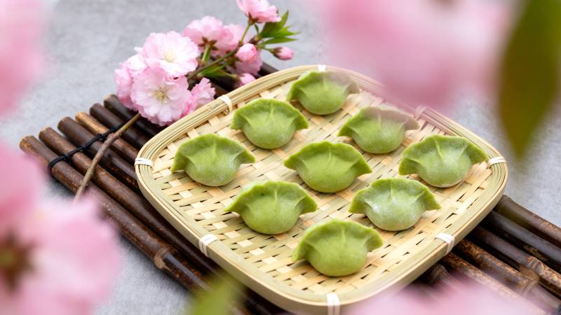 青团春意浓图片