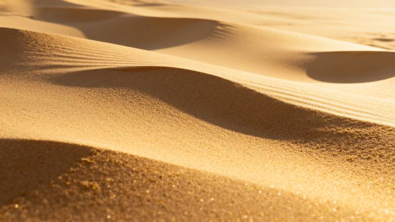 金色沙丘的柔美线条图片