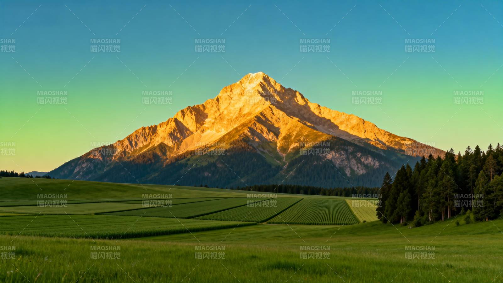 雪山映绿野图片