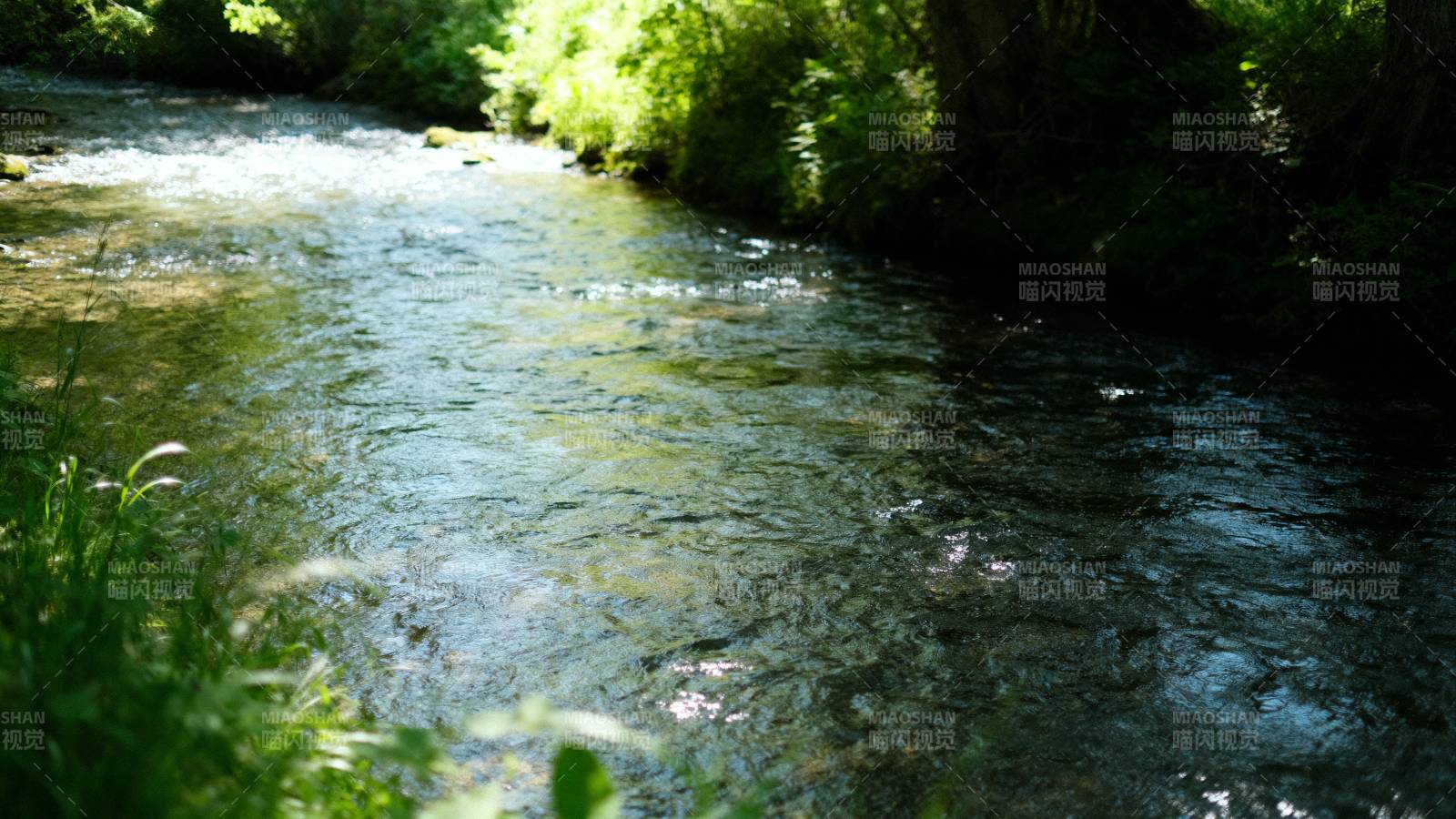 溪流潺潺绿意浓图片