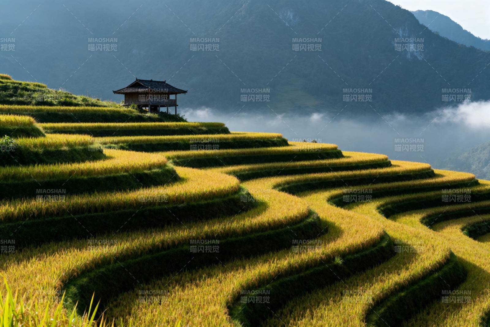 梯田晨雾山居图图片
