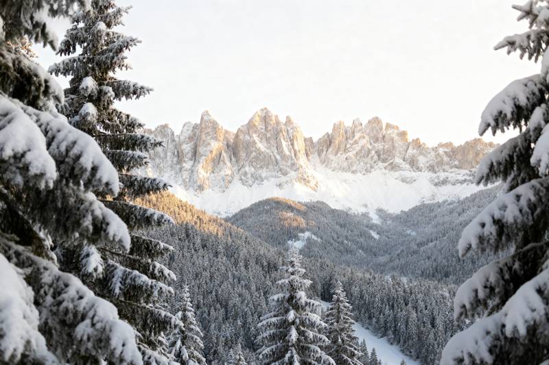 雪覆山林 静谧冬景图片