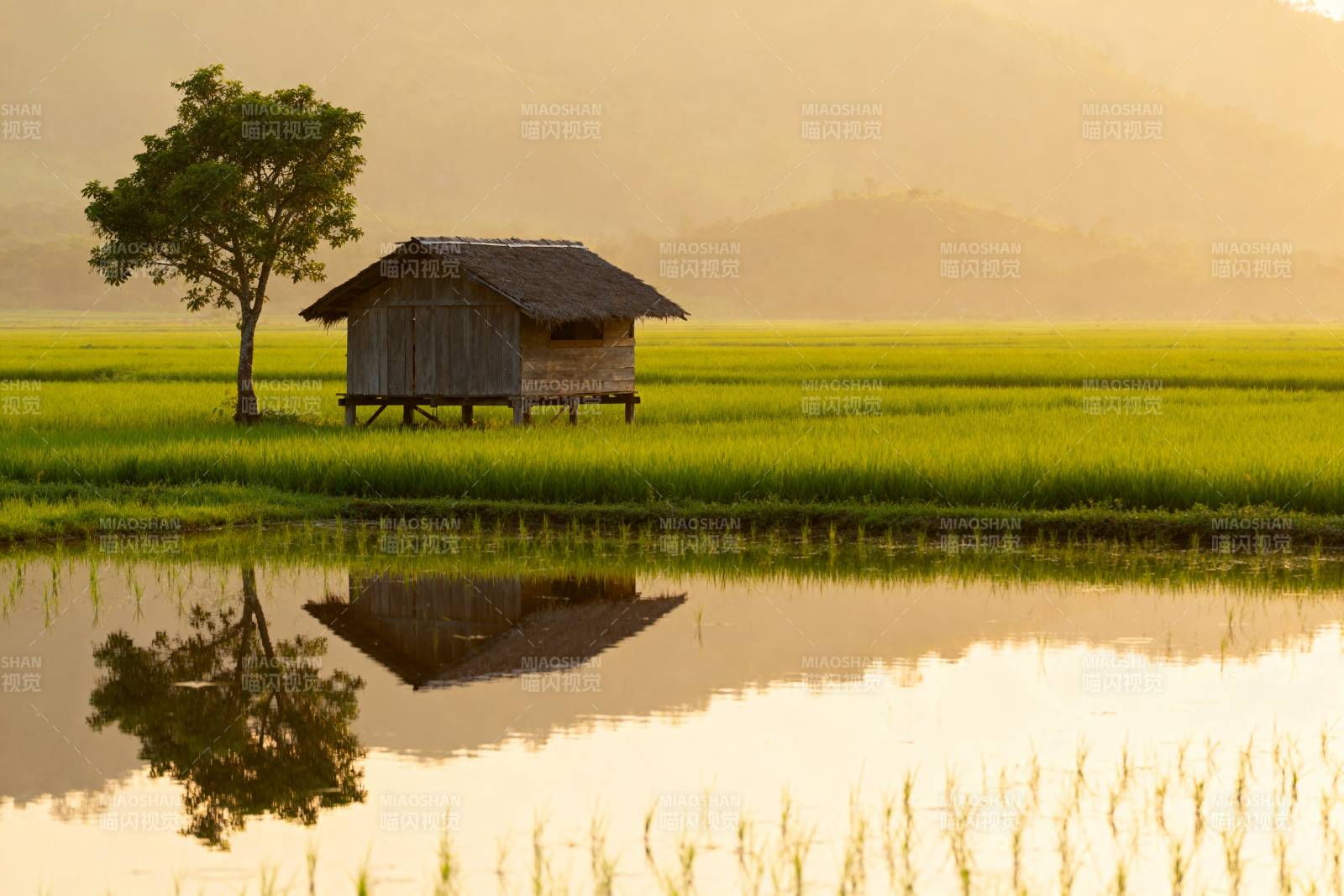 稻田小屋倒影图片