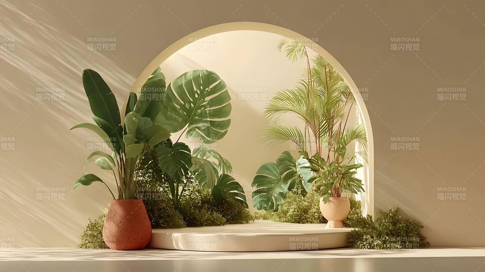 绿植光影之美图片