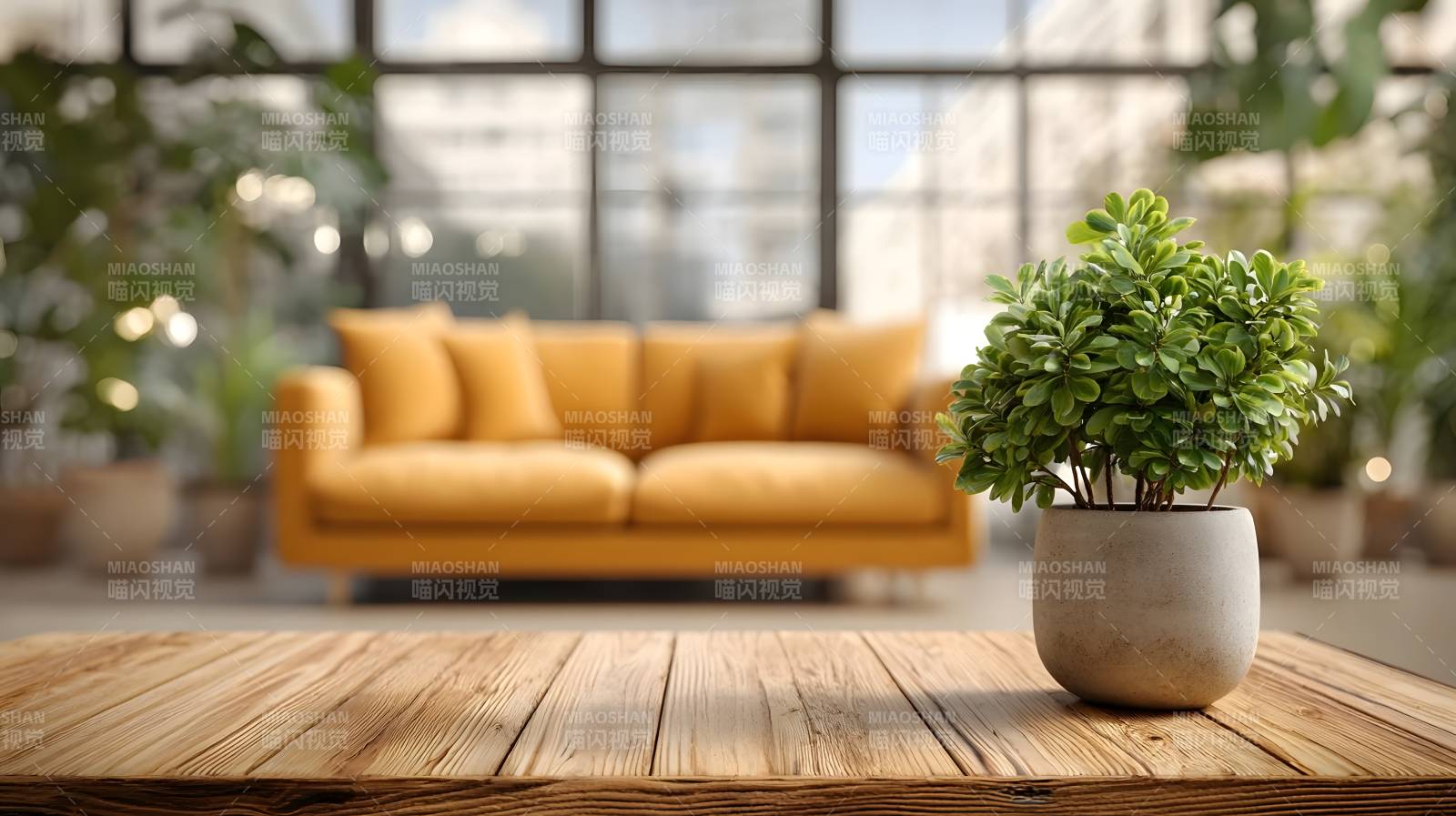 温馨客厅绿植点缀图片