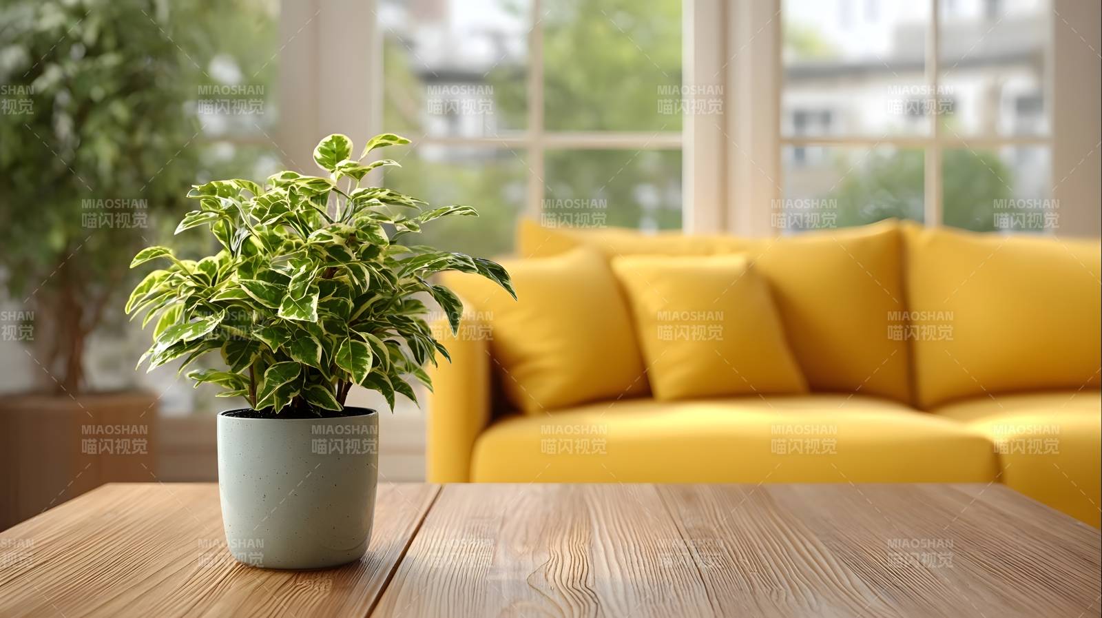 绿植点缀温馨客厅图片