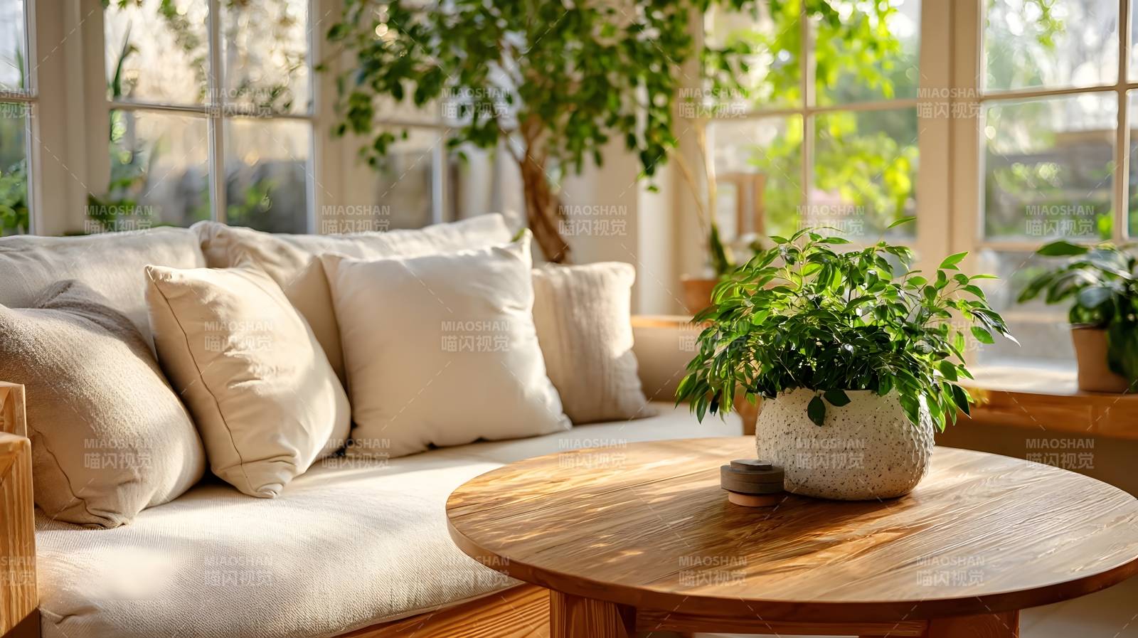 阳光下的温馨角落图片