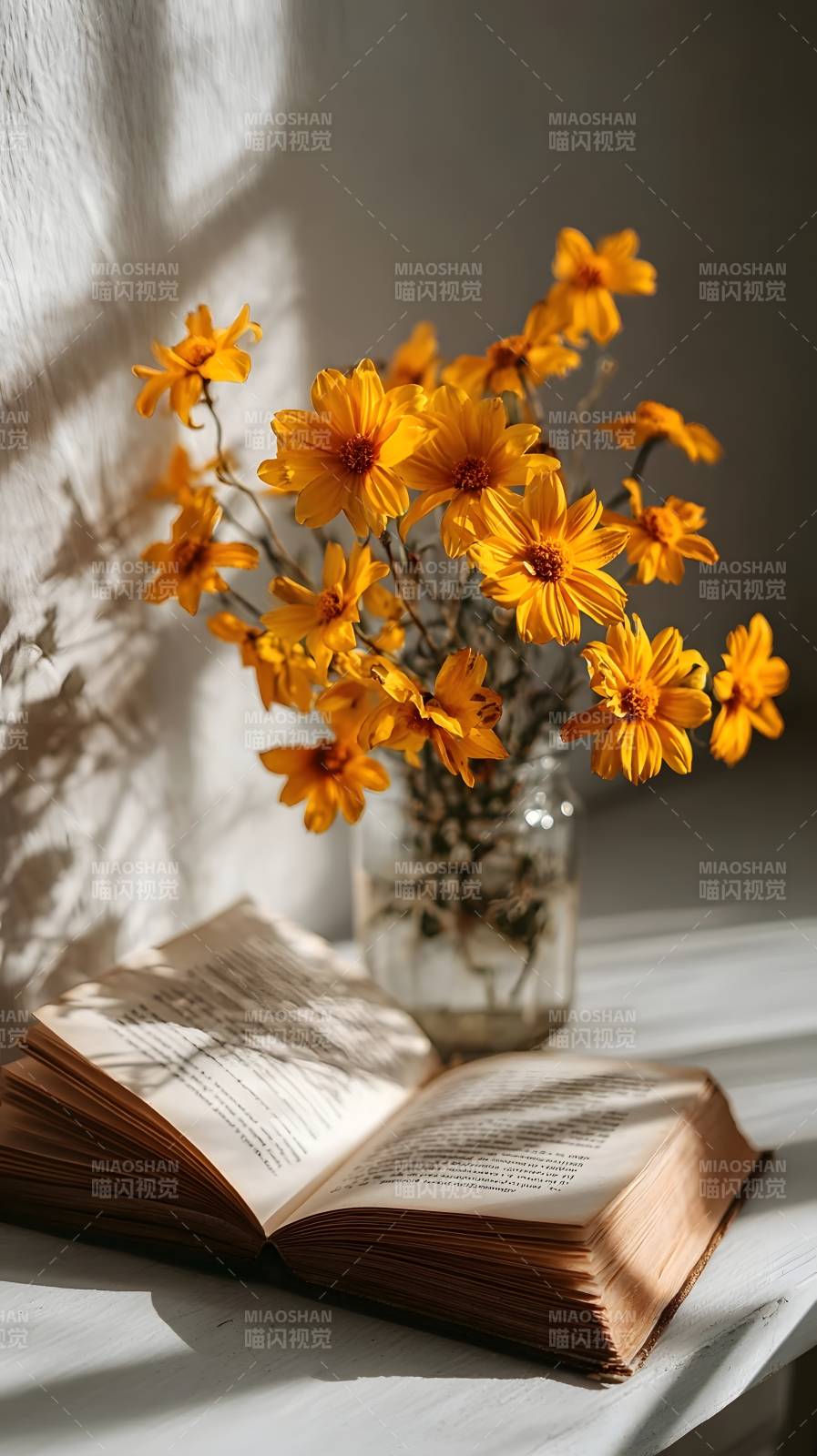 花影书页静时光图片