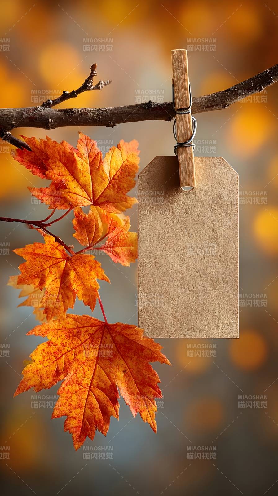 秋叶挂签图片