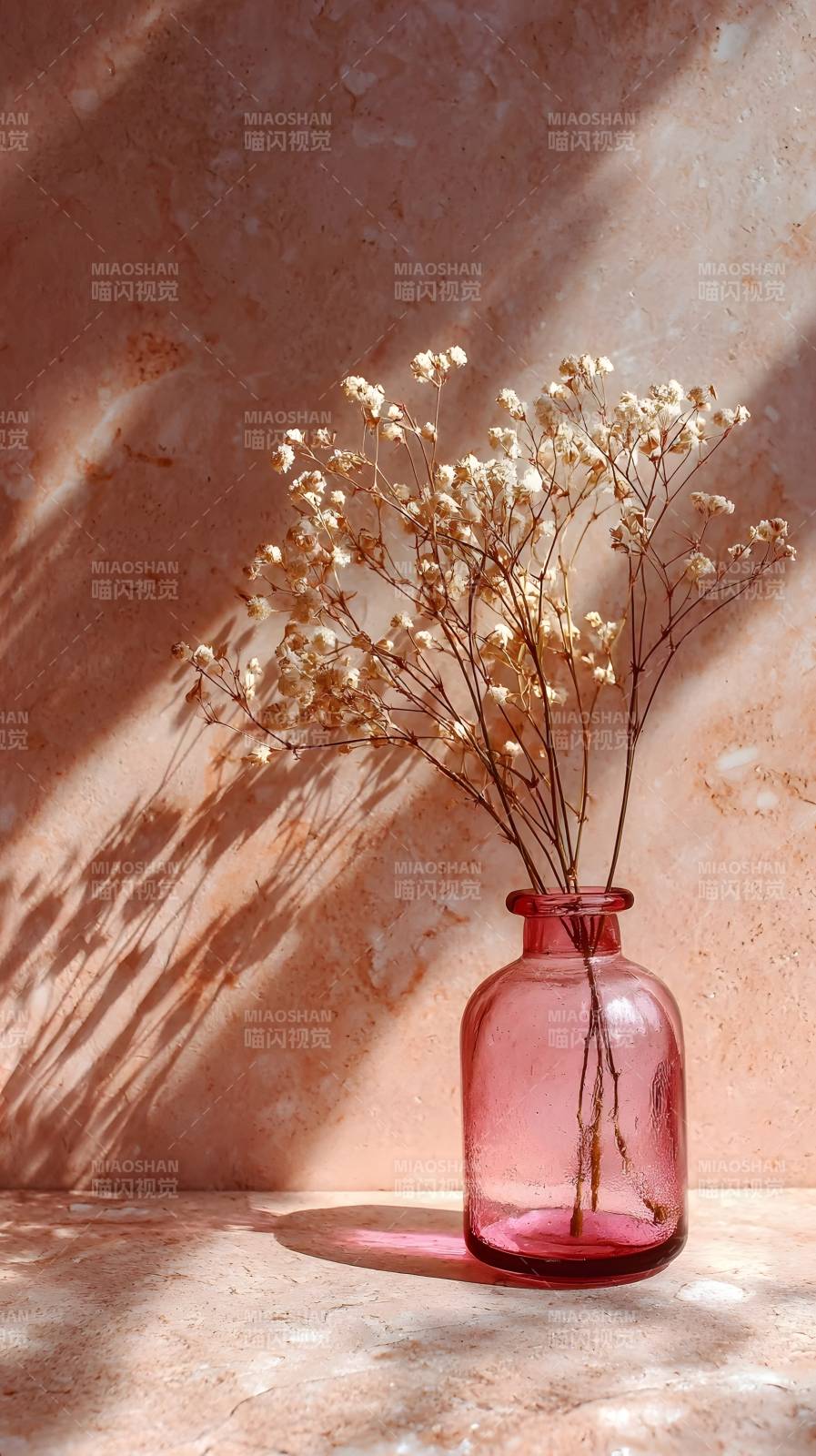光影中的干花瓶图片