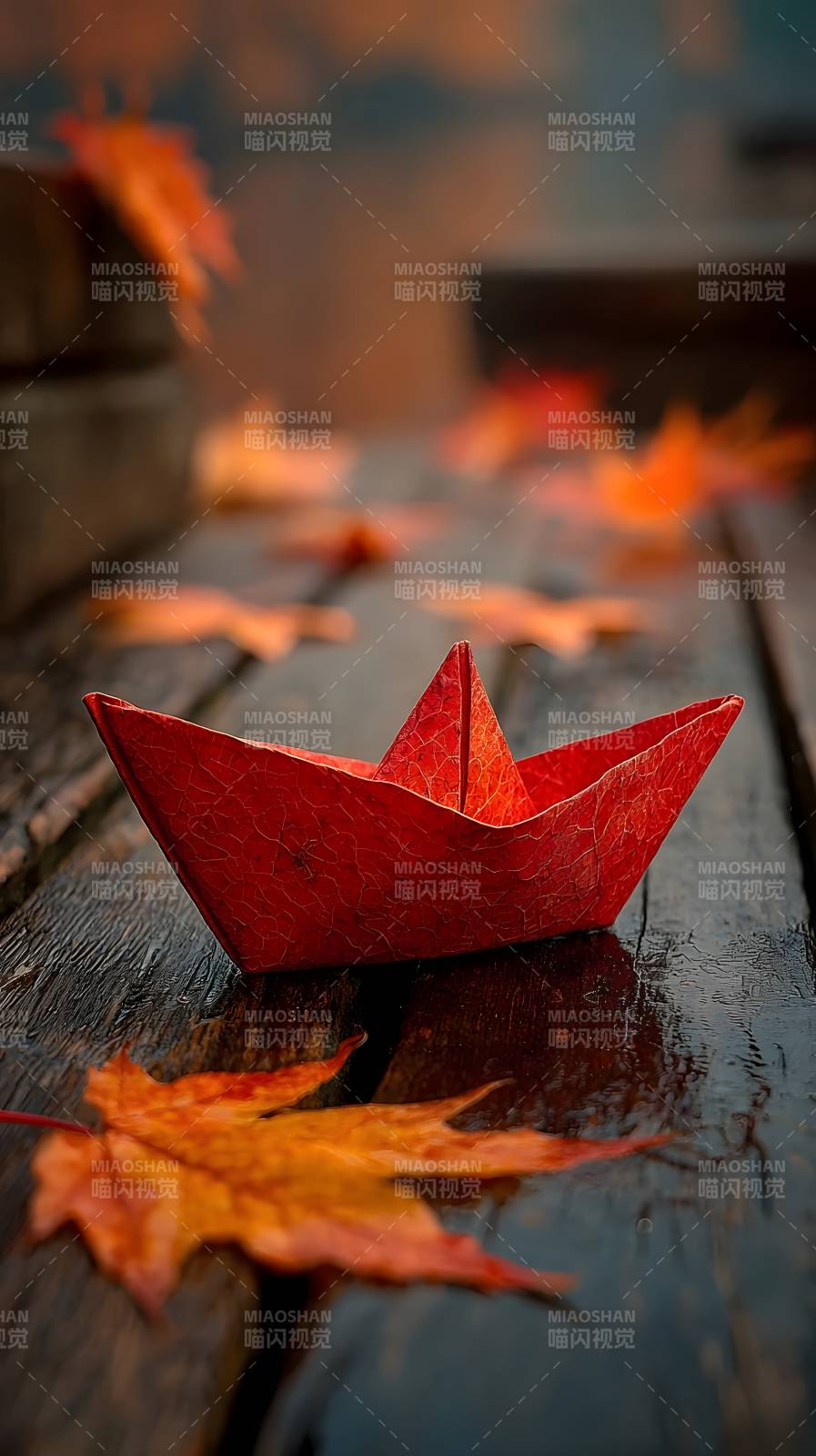 秋叶纸船图片
