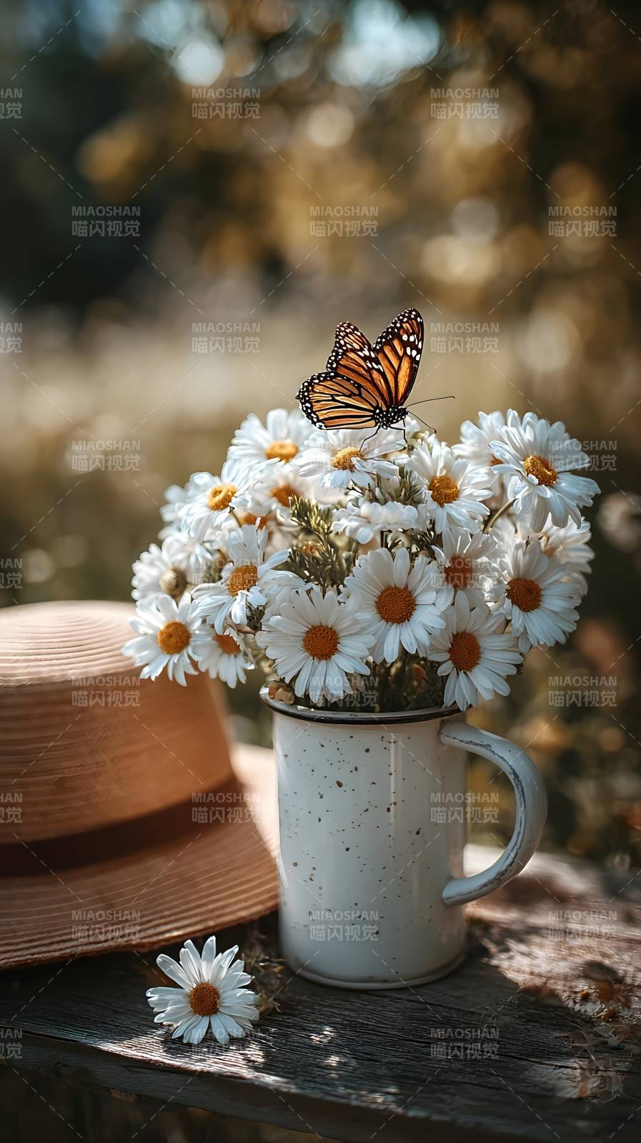 蝶舞雏菊静谧时光图片