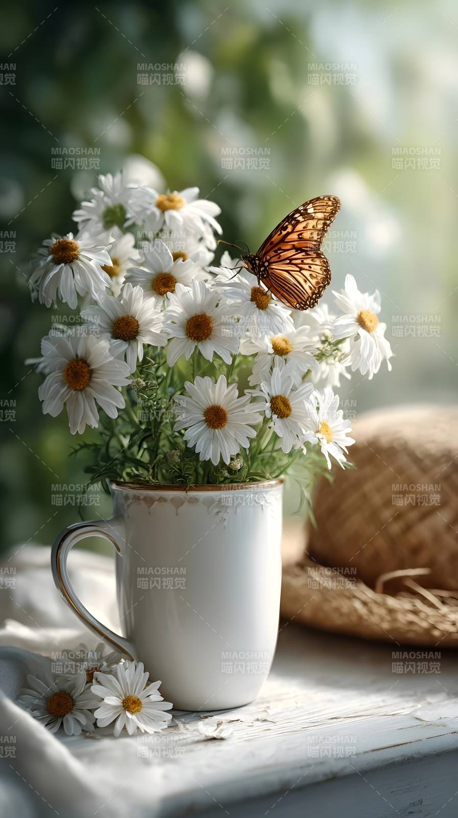 蝶舞雏菊杯中香图片