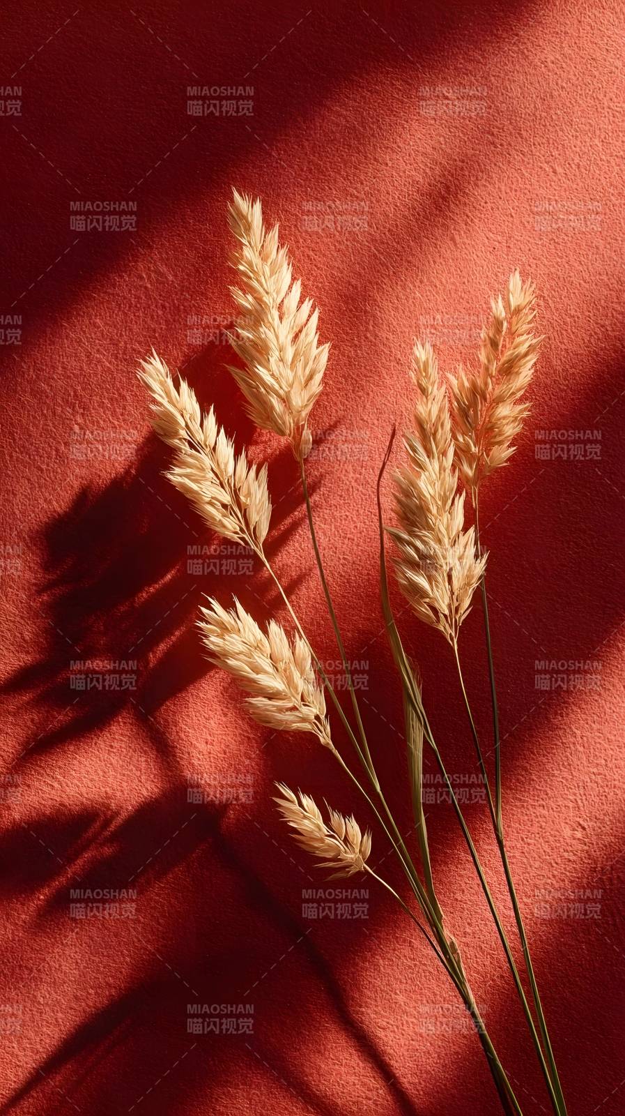 麦穗静影图片