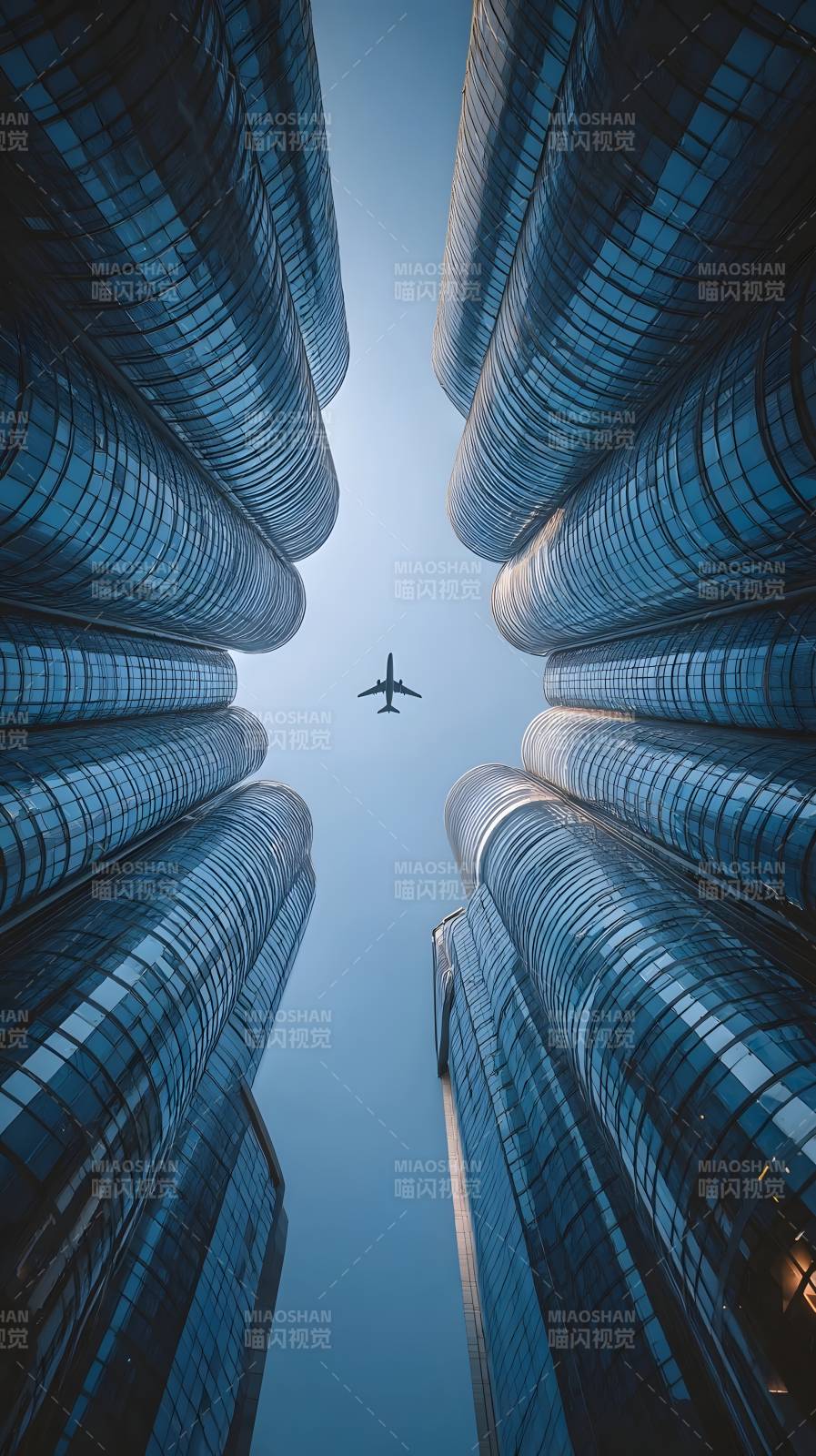 摩天楼间飞鸟图片