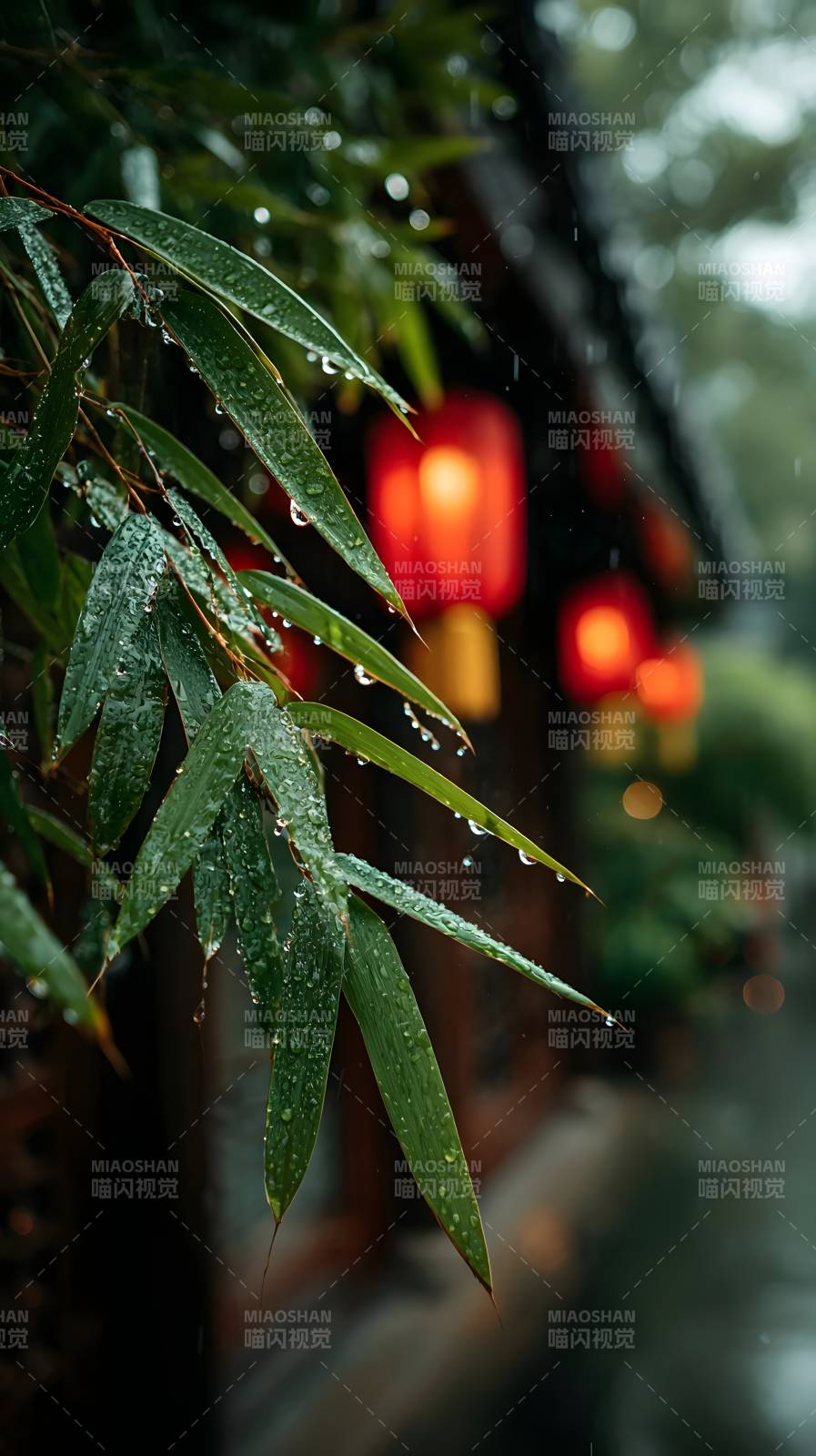 雨竹灯影图片