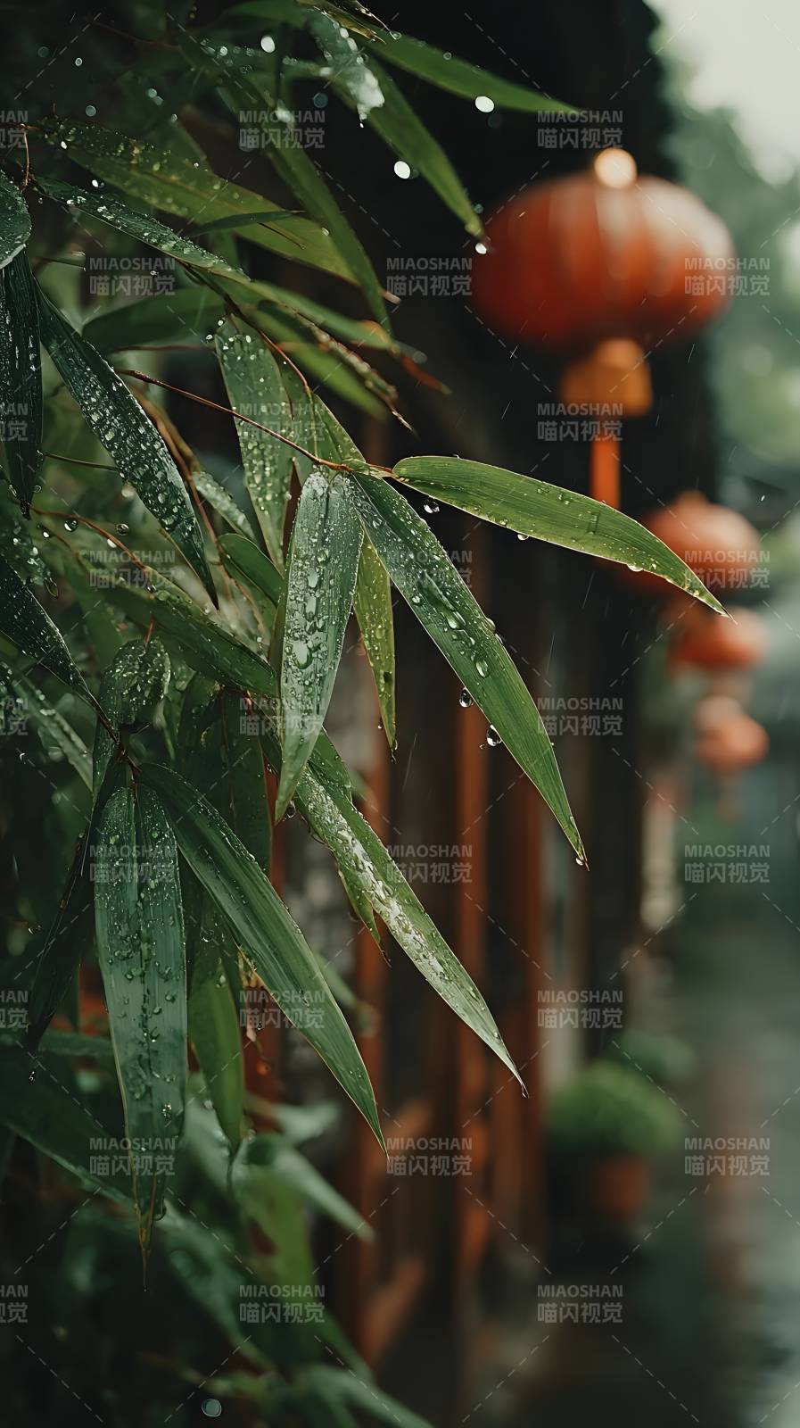 雨竹灯影图片