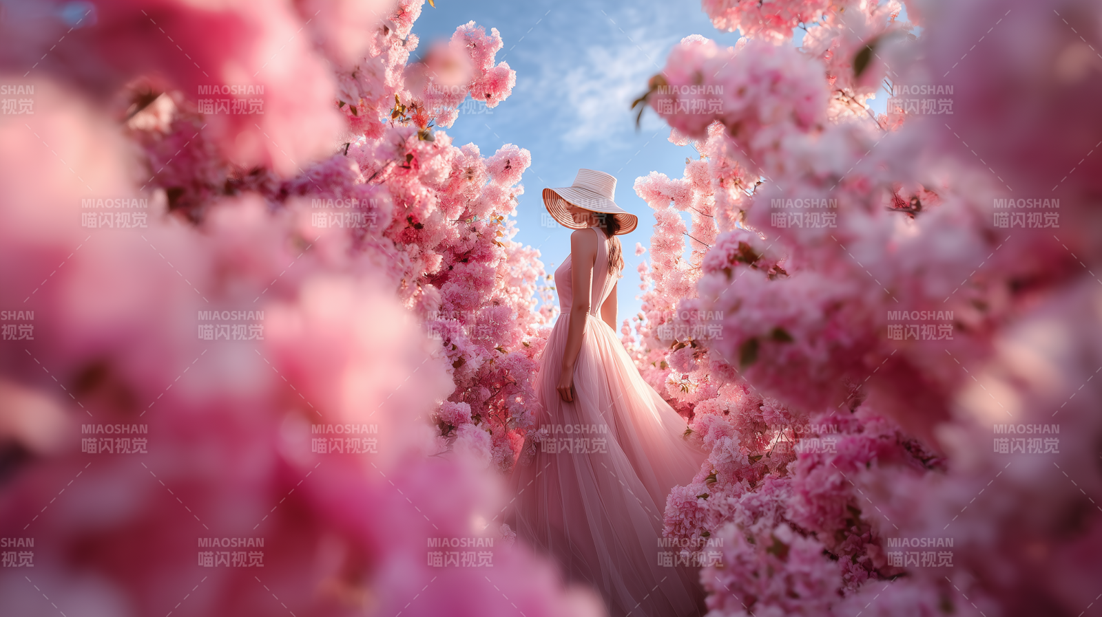 樱花中的梦幻身影图片