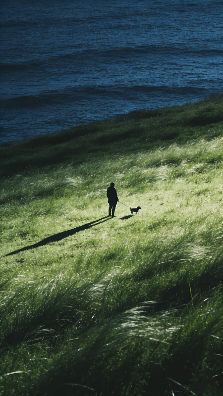 海边草坡遛狗人影图片