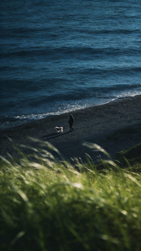 海边散步的剪影图片