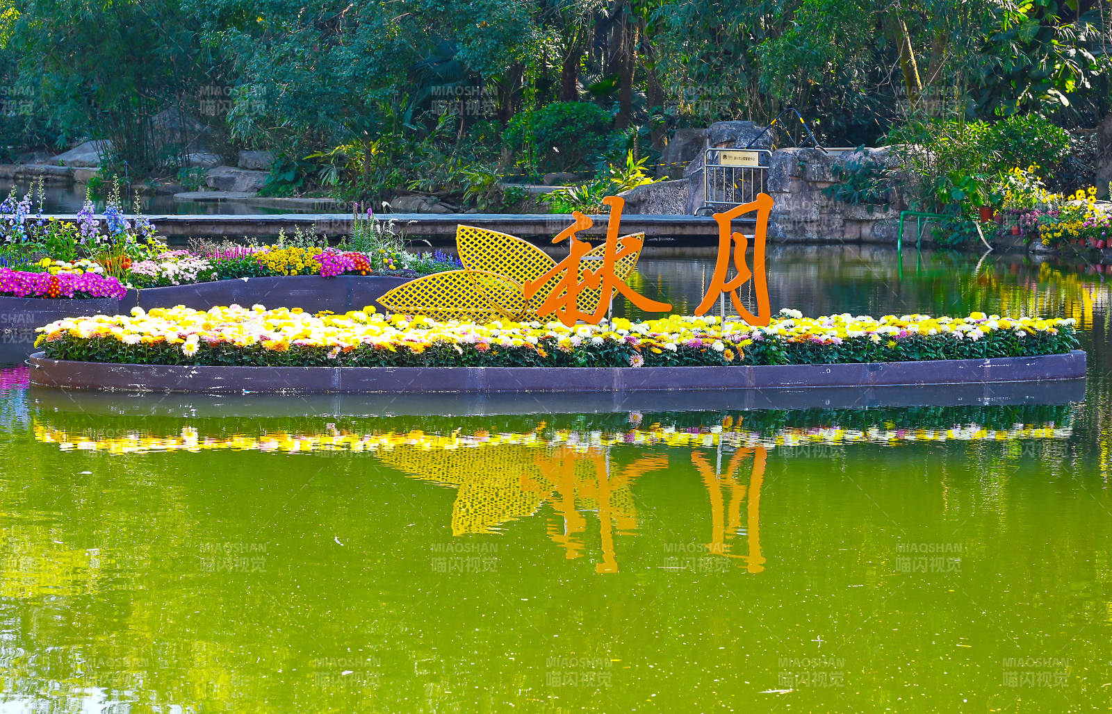 阳光下菊花装饰船的倒影美景图片